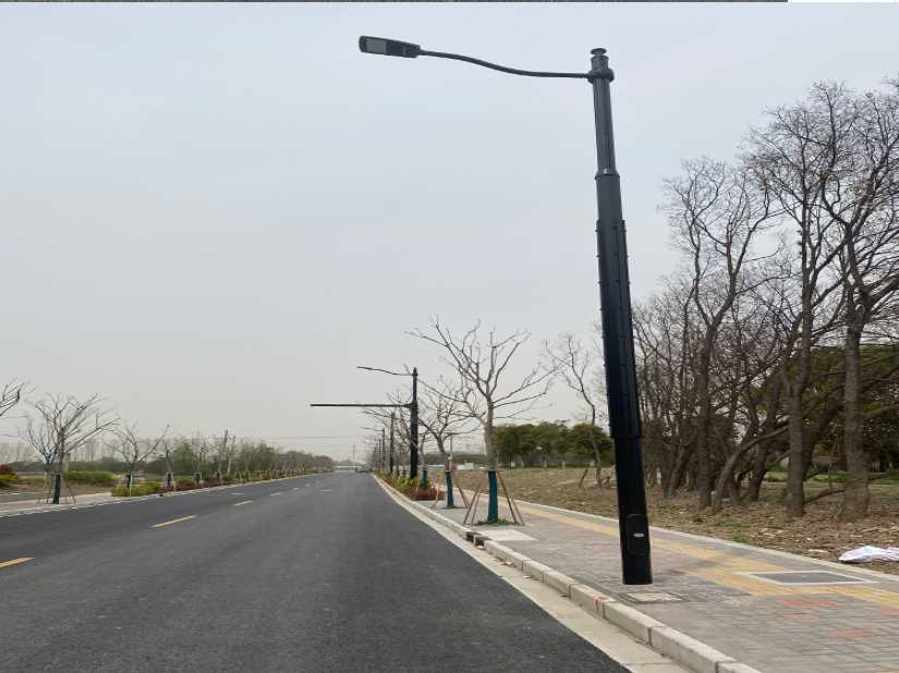 贵池区上海综合杆 太阳能路灯工程